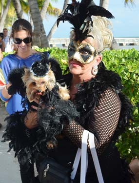 Pet Masquerade and Parade 2012 photo - Duval Street, Key West